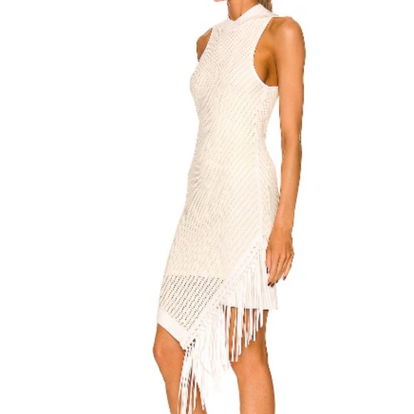 JONATHAN SIMKHAI CHELLE COMPACT POINTELLE LEATHER FRINGE  IVORY DRESS  sz XL - Picture 2 of 6